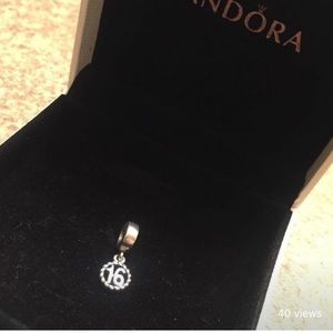 16 Pandora Charm